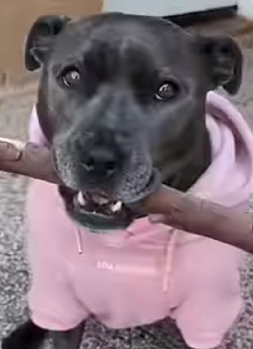 Chief Master Instructor Holly